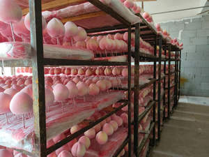 Fruits et légumes artificiels hautement réalistes en gros, modèle de pêche artificielle, accessoires de photographie et décoration intérieure, pour la vente précoce - Product Image 6