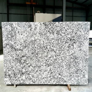 Silver Falls <b>Granite</b> Big Gangsaw Slab Premium Quality Modern Eco-Friendly Outdoor Kitchen Dining Bathroom Exterior Workshop - Product Image 1