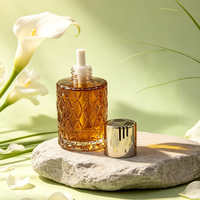 Bouteille en verre pour diffuseur à roseaux avec impression de logo personnalisé, givrée, transparente, ambrée, vide, pour arômes et parfums, faible MOQ direct usine