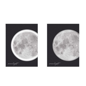 Mural de Pared con Tema Lunar en Blanco y Negro, Pintura Realista Rectangular, Marco de Madera Sólida, Azulejos de Porcelana, Decoración Colgante de una Sola Pieza - Product Image 5