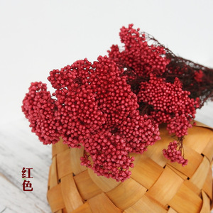 Flor de arroz artificial de alta calidad, flor de arroz <span class=keywords><strong>real</strong></span> conservada, China - Product Image 3