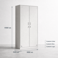 Armoire de chambre moderne en acier à 2 portes, placard de rangement métallique pour vêtements, armoire personnalisée avec miroir