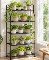 Étagère à plantes en métal, support à fleurs multi-niveaux, présentoir pour plantes d'intérieur et d'extérieur, étagère à plantes en fer pour balcon, patio, maison