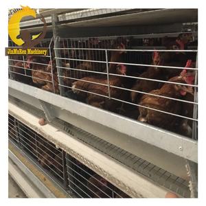 Jinmuren katmanlı tam otomatik en iyi fiyat çiftlik bina tavuk kafesi - Product Image 3