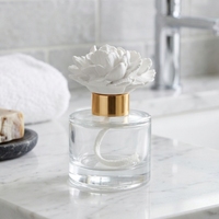 Diffuseur d'huiles essentielles en céramique parfumée, pierre aromatique, fleur en porcelaine faite à la main, bouteille en verre 100 ml, parfum d'ambiance pour la maison