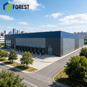 Centre de distribution et d'entreposage à structure robuste et durable, centre logistique moderne en structure métallique - Product Image 2