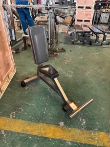 Banc <span class=keywords><strong>utilitaire</strong></span> vertical ALPHA - Équipement de musculation commercial pour la musculation et l'entraînement complet de fitness, unisexe - Product Image 6