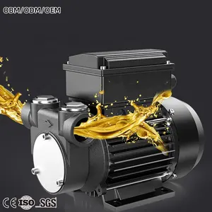 Engine oil diesel suction pump Small Automatic diesel fuel transfer pump 12v 24v electric diesel oil transfer pump