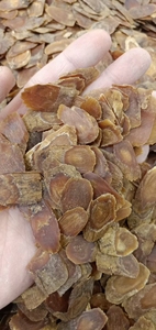 Rebanadas de <span class=keywords><strong>ginseng</strong></span> rojo de Corea secas, nivel Premium, para venta - Product Image 5