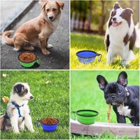 Bol pliable en silicone écologique pour animaux de compagnie, bouteilles d'eau pliables colorées pour chiens, conteneur portable pour nourriture et eau pour chats