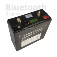 Batterie de stockage d'énergie TPENERGY TP-LFP1230 12V 30Ah LiFePO4 avec BMS, personnalisable OEM, garantie 10 ans, 6000 cycles
