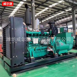 Générateur diesel Weilu 200-300 kW 400/230 V 50 Hz pour usage industriel et agricole - Product Image 1