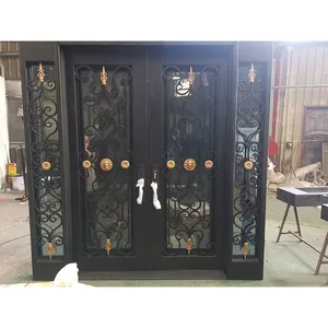 Puerta exterior de hierro forjado para jardín y escuela, diseño de puerta de Metal, fotos