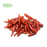 Poivre de Cayenne Rouge Séché Brut avec Processus de Séchage par Ventilation