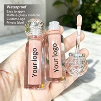 Gloss à lèvres liquide mat et brillant, haute pigmentation, hydratant, waterproof, 65 couleurs, marque privée