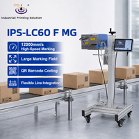 Máquina de Marcado Láser de CO2 IPS-LC60 F MG de 9.3μm con Codificación Vectorial para Líneas de Producción de Alto Rendimiento