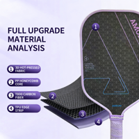 Hochwertiges Graphit-Pickleball-Schläger-Set für Senioren mit thermogeformter und texturierter Oberfläche, inklusive Pickleball-Starter-Set
