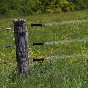 Kit de valla eléctrica para rancho, Kit de valla eléctrica con resorte telescópico para criar ganado, ovejas, <span class=keywords><strong>caballos</strong></span>, accesorios baratos para valla de granja - Product Image 6