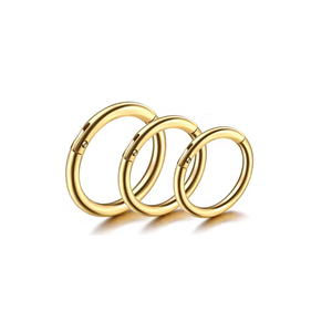 Piercing de titanio para la <span class=keywords><strong>nariz</strong></span> del tabique 20G Cartílago de hélice Rook Hoop Pendiente con bisagras Clicker Segment Nose Ring - Product Image 1