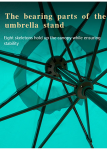 <span class=keywords><strong>Lit</strong></span> de plage lounge table de plage imprimée personnalisée parasol de marché en aluminium avec manivelle parasol parasol dans le jardin - Product Image 4