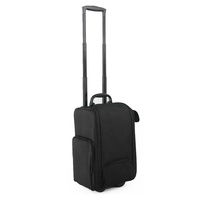 Mallette professionnelle à roulettes, 1 pièce, organisateur de maquillage, chariot à roulettes, sac avec train de beauté sur les roues, imperméable pour voyage