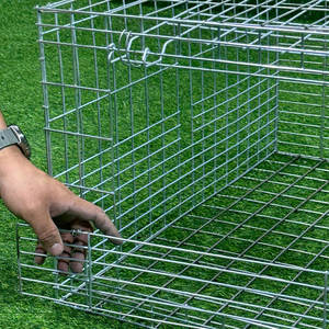 Broiler kanatlı H tipi çok seviyeli profesyonel Manure kemer ile galvanizli Broiler tavuk kafesleri - Product Image 5