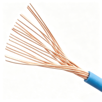 Fil de cuivre isolé BVR-1.0/1.5/2.5 mm offrant une excellente flexibilité, adapté aux installations domestiques et au câblage industriel