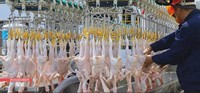 Conteneur Mobile d'abattoir/Abattoir d'animaux/Abattoir de volaille Mobile
