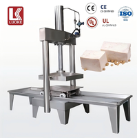 Ligne d'assemblage à haute productivité de machines à presser le tofu séché pour usage industriel