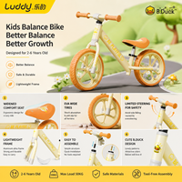Vélo d'équilibre pour enfants Luddy Wholesale OEM B.Duck en alliage de magnésium, léger, sans pédales, vélo d'apprentissage pour tout-petits, pneus EVA, âges 2-6 ans