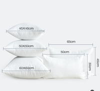 Vente en gros de coussin carré en coton blanc personnalisé confort canard oie insert de base technique de massage gonflable coussin tissé WS