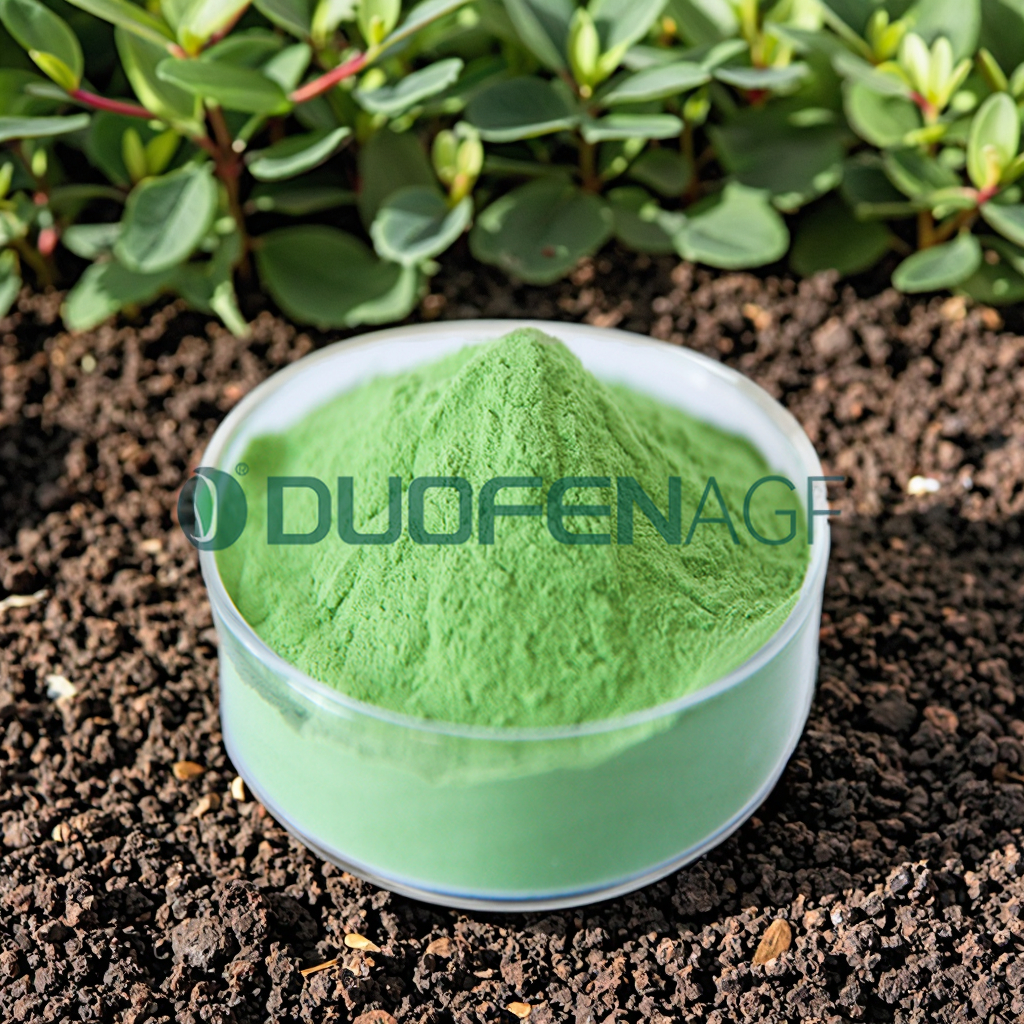 Manufacturer Water Soluble Seaweed Fertilizer Powder image 2