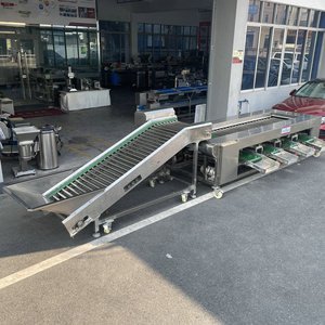 เครื่องคัดแยกน้ําหนักเป๋าฮื้อควบคุมด้วย PLC อัตโนมัติเต็มรูปแบบ / เครื่องคัดเกรด <span class=keywords><strong>Awabi</strong></span> / เครื่องคัดเกรดเป๋าฮื้อตามน้ําหนัก - Product Image 6