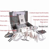 Machine de Massage Facial à Micro-Courant BIO Portatif pour Lifting, Vente en Gros