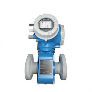 Débitmètre E+h New P 10 5PBB32 5PBB40 5PBB50 5PBB65 5PBB80 Fabriqué en Chine continentale - Product Image 2