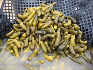 Légumes en solution de saumure Cornichons conservés avec du sel - Product Image 3