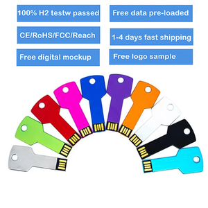 Biểu tượng tùy chỉnh kim loại Key <span class=keywords><strong>USB</strong></span> Flash Drive 2.0 2GB 4GB 8GB 16GB 32GB Pen Drive không thấm nước Flash <span class=keywords><strong>Memory</strong></span> <span class=keywords><strong>Stick</strong></span> <span class=keywords><strong>USB</strong></span> thiết bị - Product Image 2