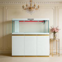 Aquarium rectangulaire de luxe en métal de 50L avec support en pierre pour la décoration du salon