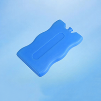Glacière isotherme portable réutilisable avec logo personnalisé, lot de 12, pour pique-nique, boissons, fruits de mer, médicaments, chaîne du froid
