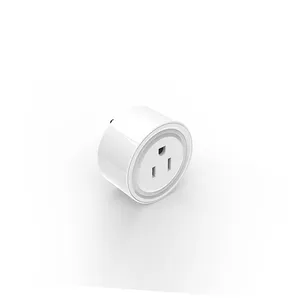 New Product US Standard Smart Life WiFi Wall Plug Socket Support Amazon Alexa Home Control Mini Smart Plug