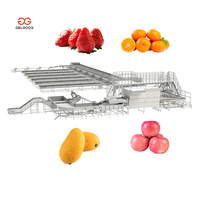 Gelgoog Palm Kernel Sorteermachine voor het sorteren van kersentomaten, fruitgrootte sorteren en kalibreren, machine voor het sorteren van fruit op grootte