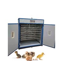 Couveuse automatique 1500 couveuse de poulet 10000 couveuse d'oeufs Machine 1056 couveuse d'oeufs de poussin Machine