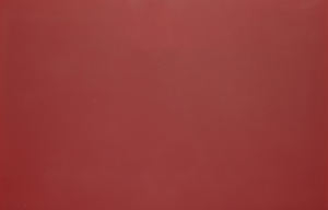 Meilleure vente plaque d'acier inoxydable de peinture au fluorocarbone plaque d'acier inoxydable colorée finie par ménage - Product Image 5