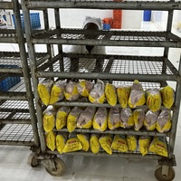 Certificat CE, projet de ferme avicole clé en main de premier ordre en Chine, équipement de chambre de refroidissement à air pour l'abattage des poulets, de haute qualité