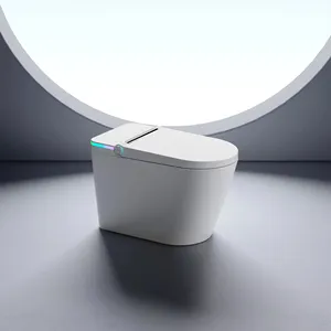 Factory direct sale smart Remote control toilet One Piece electric heating sensor flushing toilet cUPC