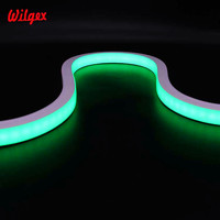 Lumières néon de haute qualité, étanches IP68, fabrication de lumières LED, aménagement paysager de jardin, 18x16mm, néon flexible LED adressable WS2811 RGB
