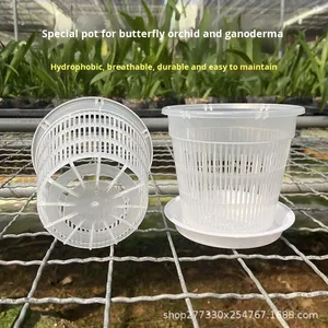 Garden Supplies Plastic <strong>Clear</strong> Controlled Root Breathable <strong>Orchid</strong> Special <strong>Pot</strong> Hydroponic Net <strong>Pot</strong> - Product Image 3