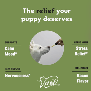 Giọt rễ valerian cho chó-Hỗ trợ miễn dịch & vitamin & khoáng chất-Làm dịu Supplement-1fl oz - Product Image 3