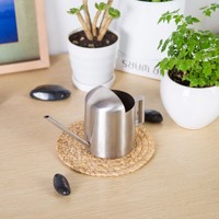 Arrosoir miniature en acier inoxydable personnalisé, très vendu, pour plantes d'intérieur