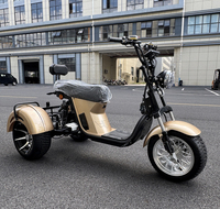 Motocicleta Eléctrica de Excelente Calidad, Triciclo Eléctrico de 3 Ruedas para Adultos, Triciclo Chopper de Tres Ruedas, Scooters de 4000w